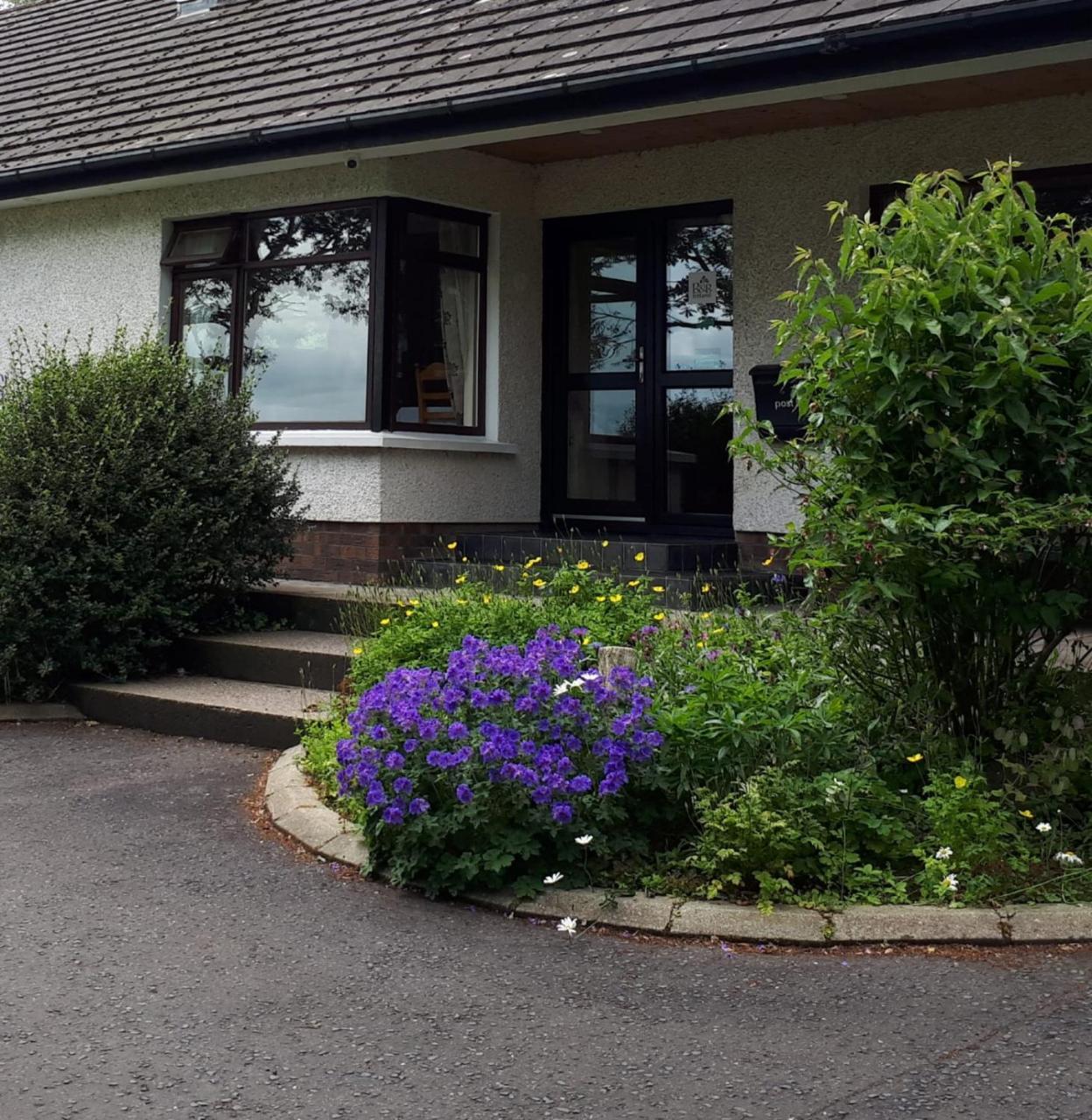 Dewhamill Bed & Breakfast Bellaghy Exterior photo